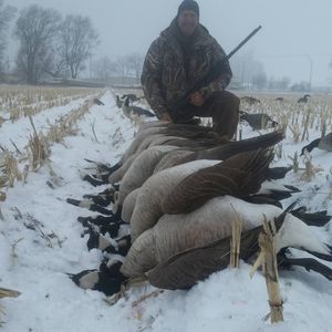 Meet your Posher, Darren